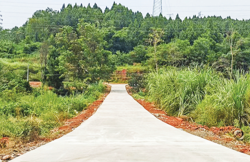 家门口这条土路雨天泥泞影响出行(图1)
